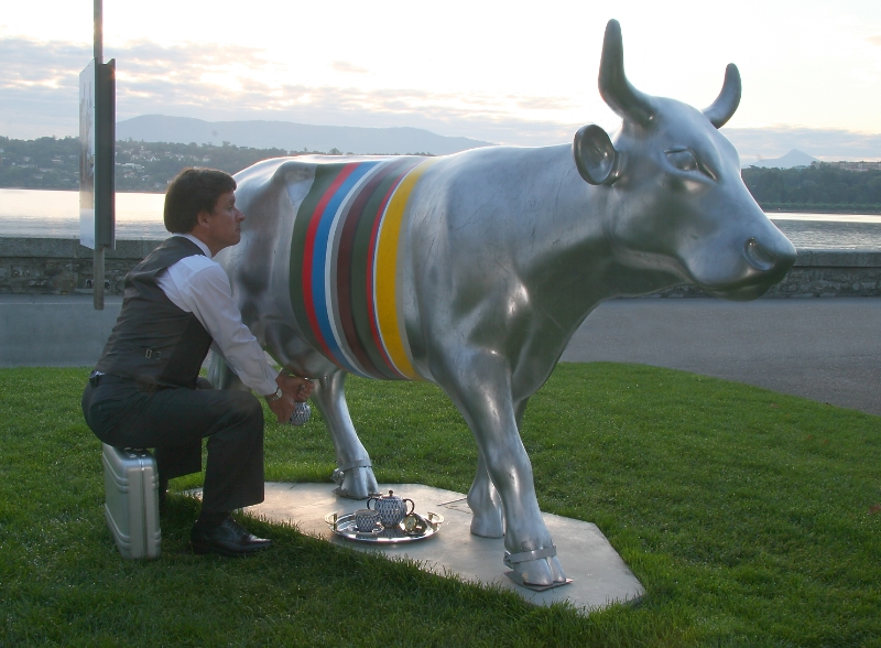 Cow photo contest winner, Geneva Switzerland.jpg - Cow photo contest winner